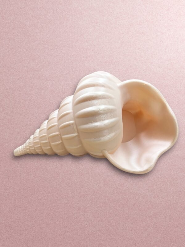 Seashell Trinket Dish - Image 2