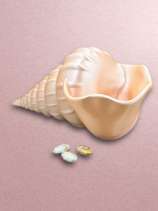 Seashell Trinket Dish