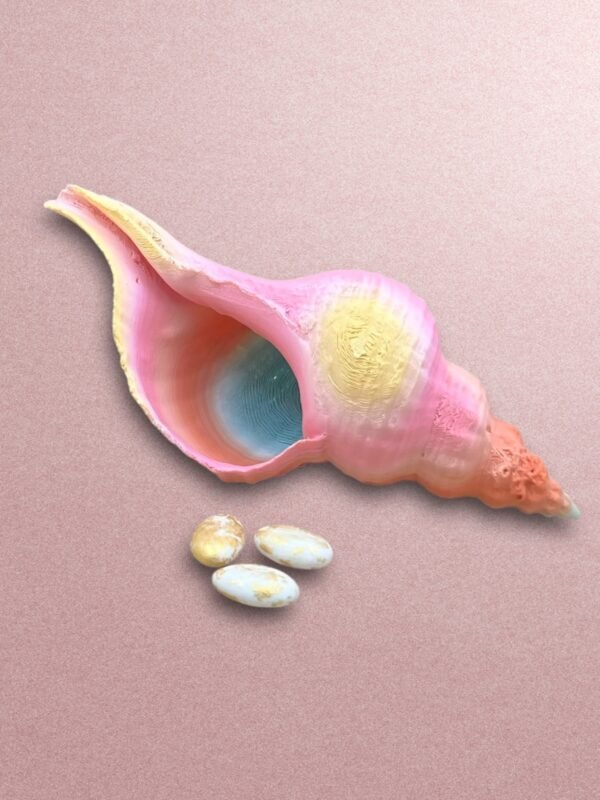 3D-Printed Pastel Gradient Conch Shell Bowl – Coastal Décor Accent