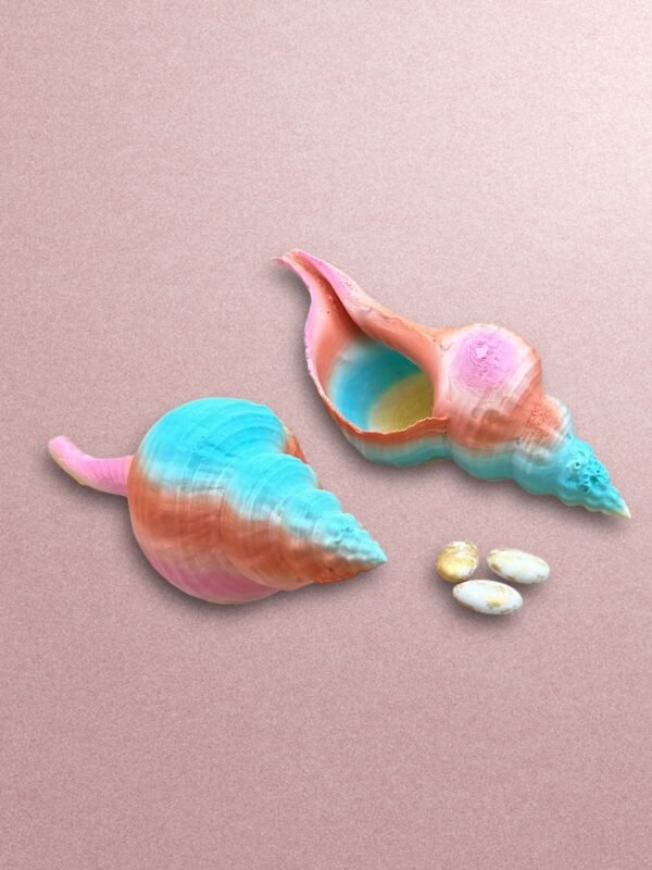 3D-Printed Pastel Gradient Conch Shell Bowl – Coastal Décor Accent - Image 2