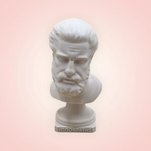 Hippocrates Bust Sculpture