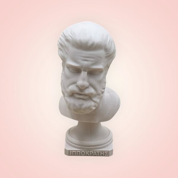 Hippocrates Bust Sculpture
