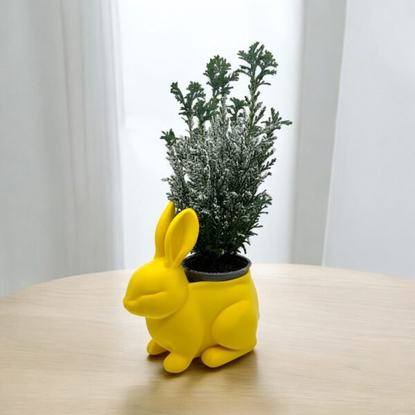 Whimsical Bunny Planter Pot