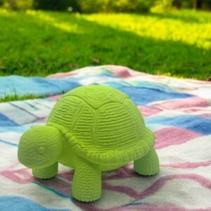 Textured Turtle Desktop Figurine