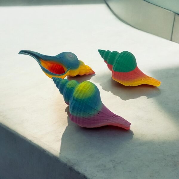 Gradient Seashell Replica